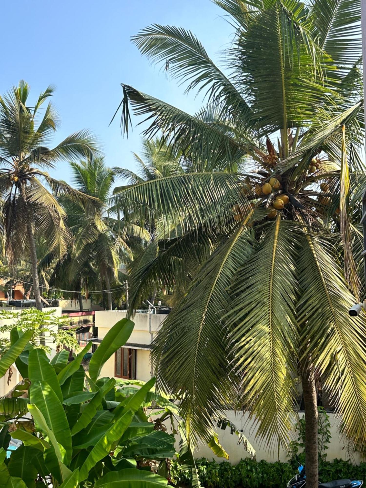Santa Maria, Trivandrum - An Airport Boutique By The Sea Bed and Breakfast Thiruvananthapuram Esterno foto