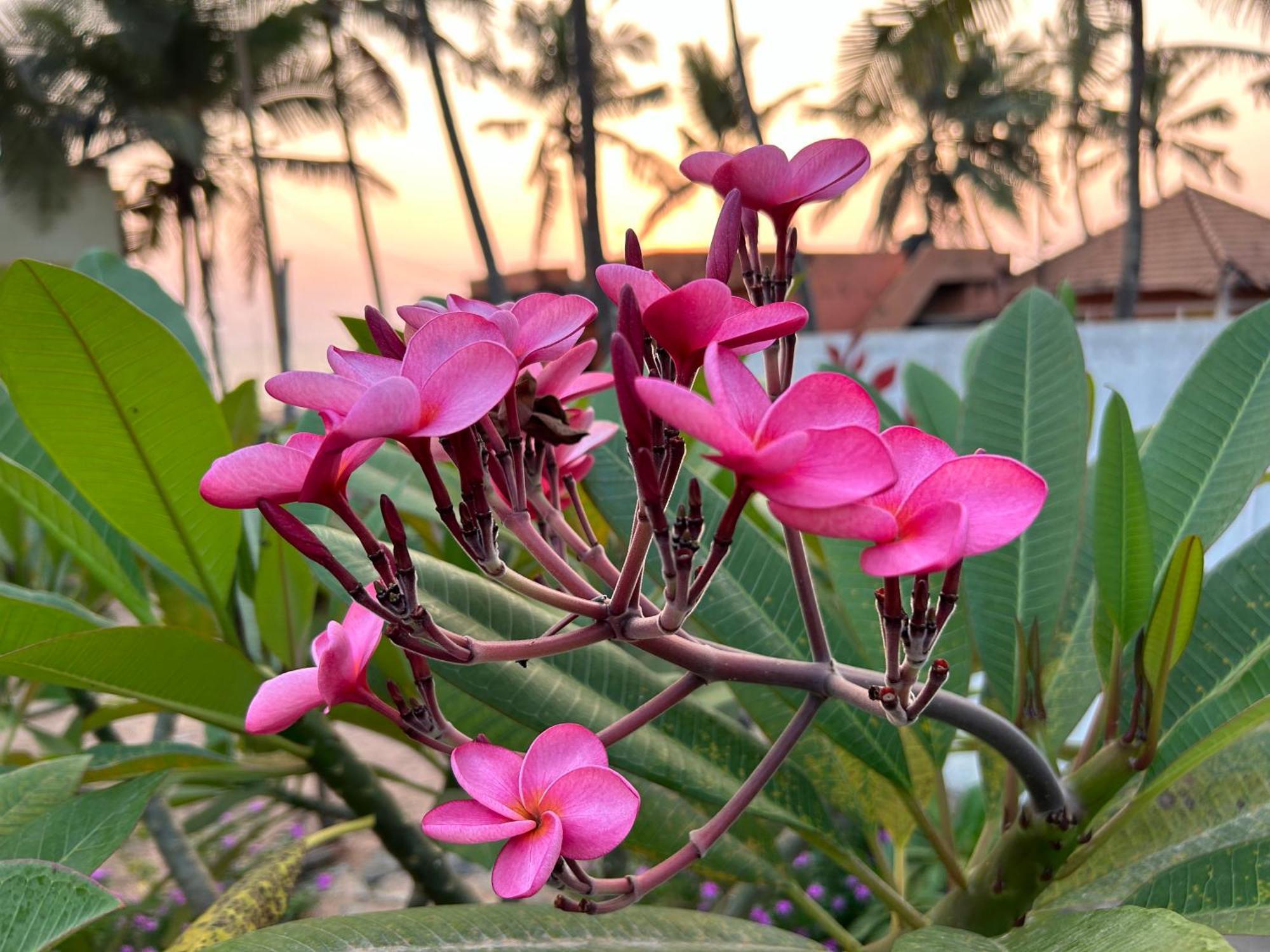 Santa Maria, Trivandrum - An Airport Boutique By The Sea Bed and Breakfast Thiruvananthapuram Esterno foto